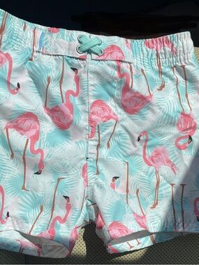 Kids Flamingo Print Swim Trunks - Pink & Aqua